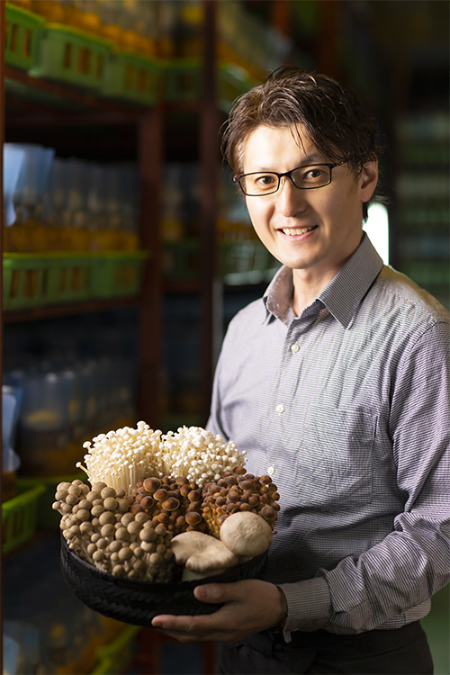 きのこソース開発