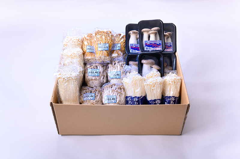 きのこ鬼盛セット