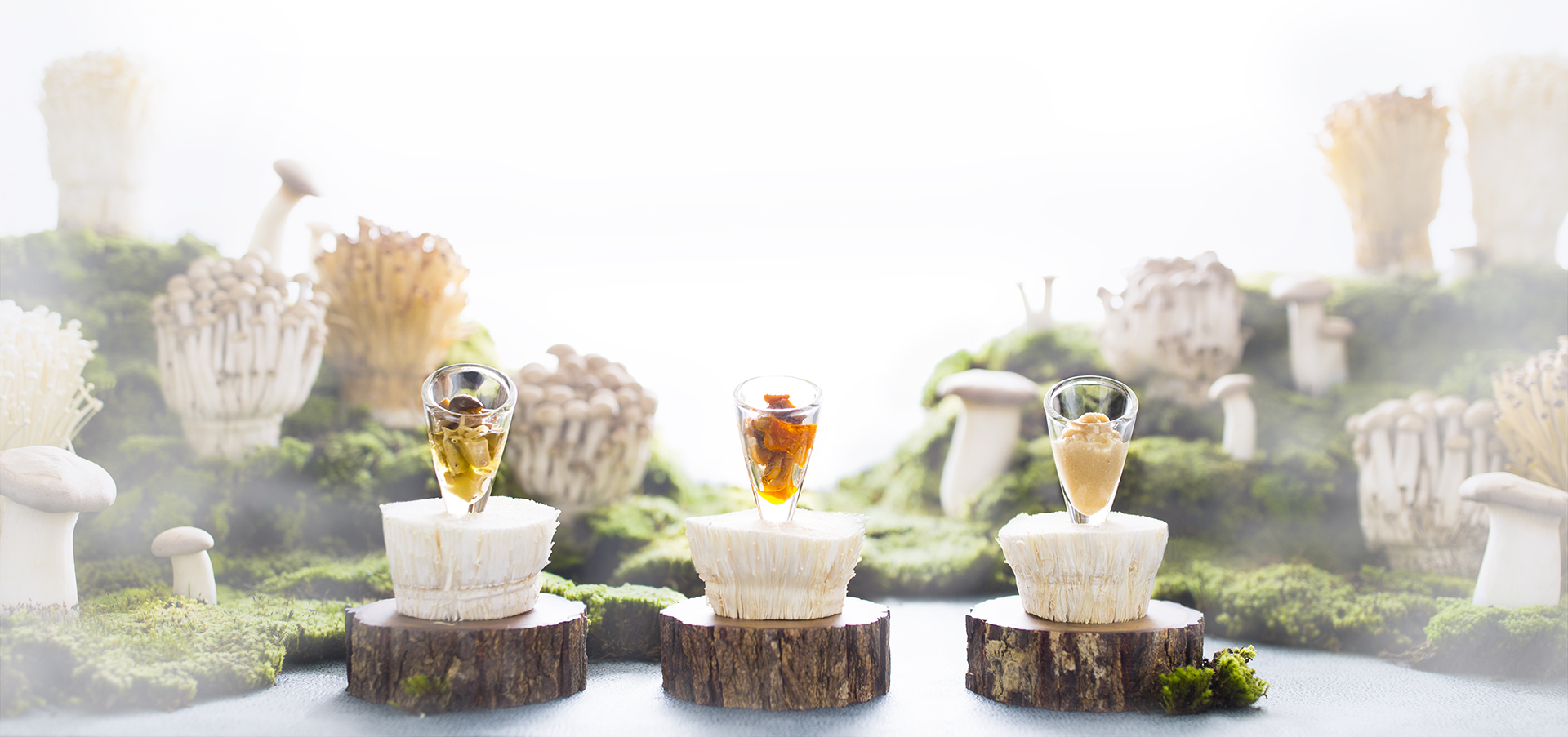 きのこびとイメージ