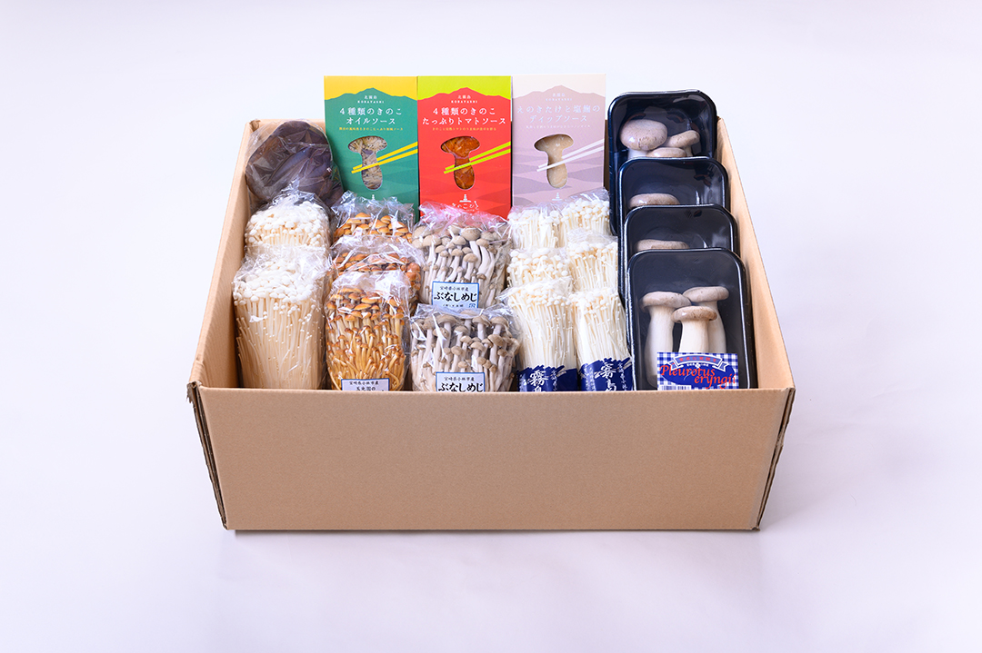 星の郷きのこセット