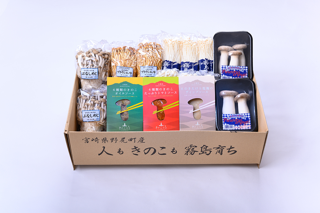 霧の郷きのこセット